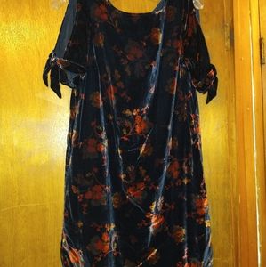 Ann Taylor LOFT Floral Velvet Dress